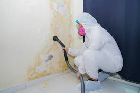 Mold Remediation for Rental Properties in Broadmoor, CA